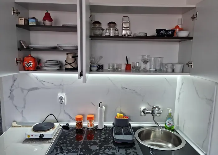 Apartament Central *