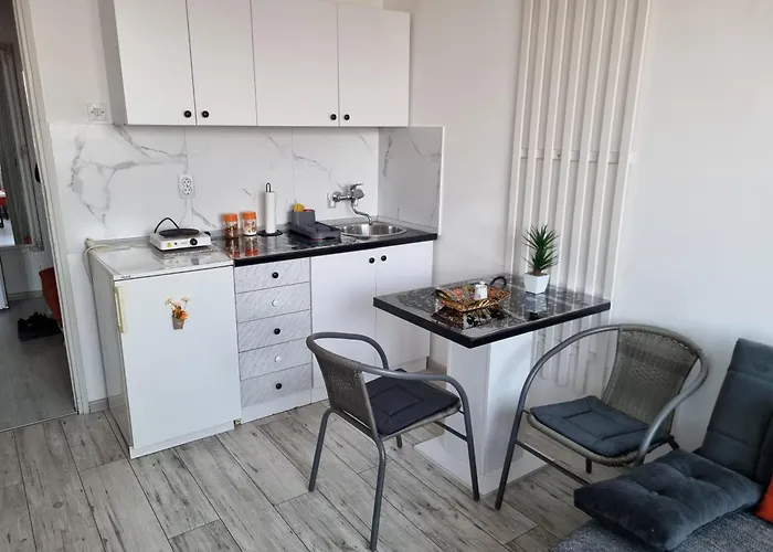 Apartament Central *